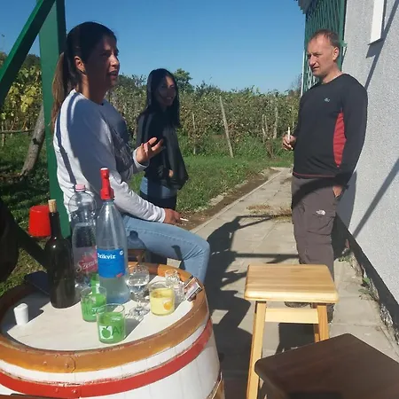 Szent Marton Vendeghaz Holiday home *