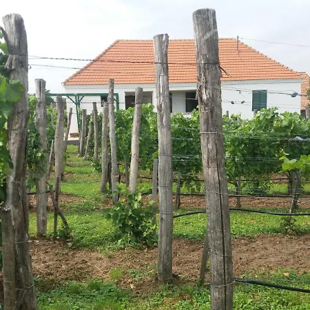 Szent Marton Vendeghaz Holiday home *