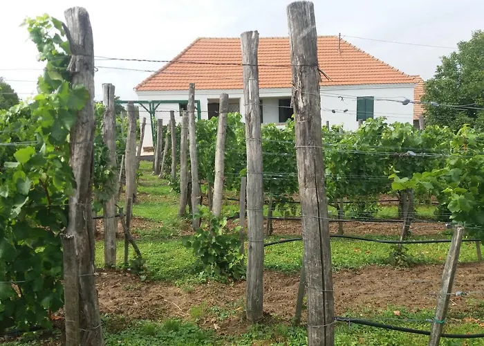 Szent Marton Vendeghaz Σπίτι διακοπών *