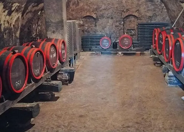 Szent Marton Vendeghaz